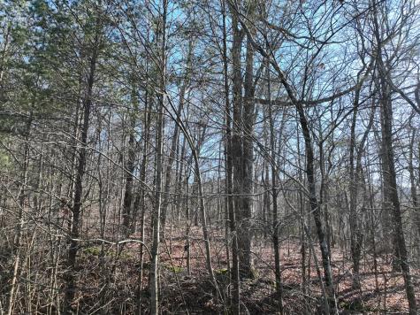 57 St Andrews Way Ellijay GA 30536