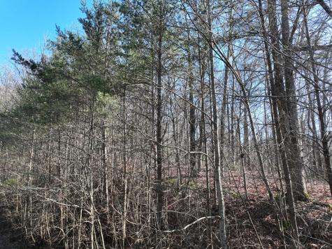 57 St Andrews Way Ellijay GA 30536