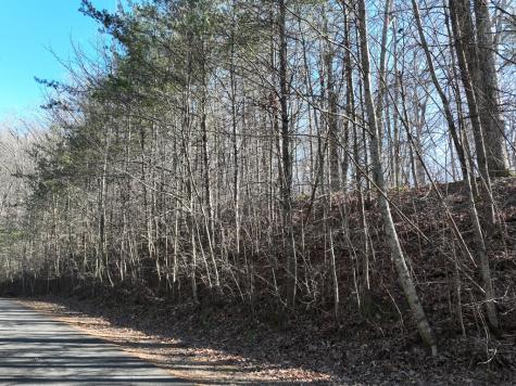 57 St Andrews Way Ellijay GA 30536