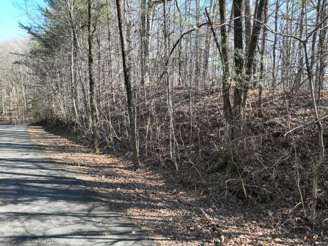 57 St Andrews Way Ellijay GA 30536