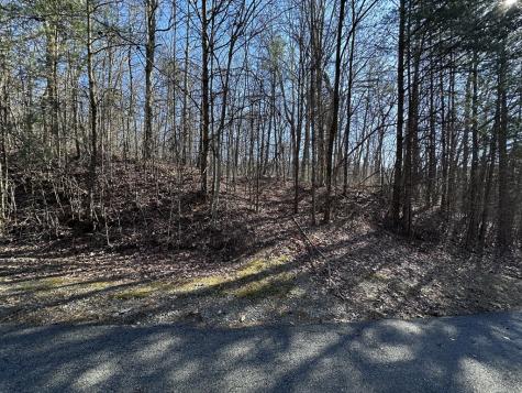 57 St Andrews Way Ellijay GA 30536