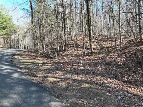 57 St Andrews Way Ellijay GA 30536