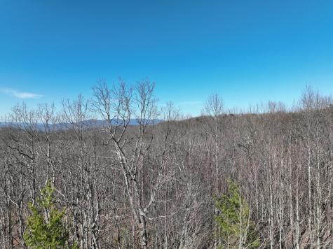 57 St Andrews Way Ellijay GA 30536