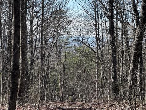 57 St Andrews Way Ellijay GA 30536