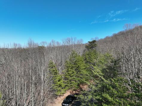 57 St Andrews Way Ellijay GA 30536