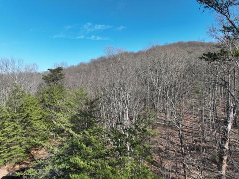 57 St Andrews Way Ellijay GA 30536