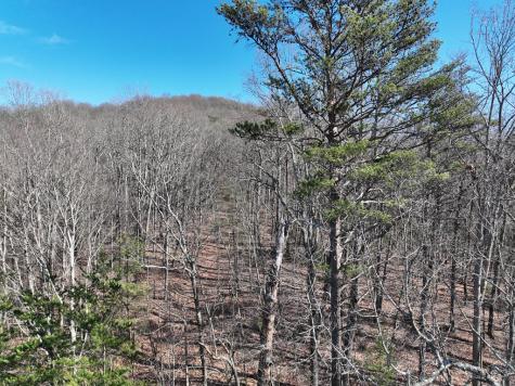 57 St Andrews Way Ellijay GA 30536