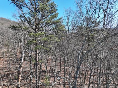 57 St Andrews Way Ellijay GA 30536