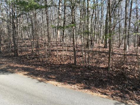 57 St Andrews Way Ellijay GA 30536