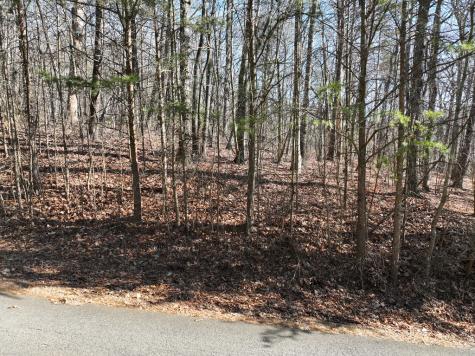 57 St Andrews Way Ellijay GA 30536