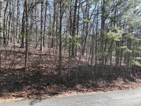 57 St Andrews Way Ellijay GA 30536