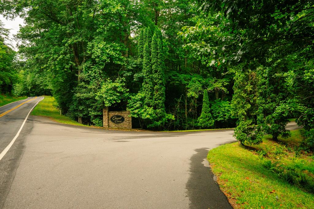 Lot 11 Quail Cove Circle Warne NC 28909