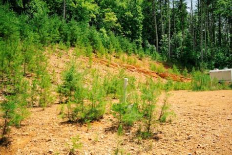 Lot 11 Quail Cove Circle Warne NC 28909