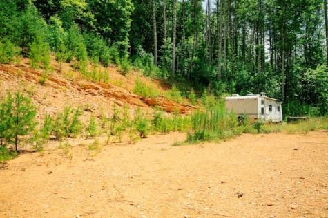 Lot 11 Quail Cove Circle Warne NC 28909