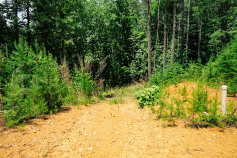 Lot 11 Quail Cove Circle Warne NC 28909