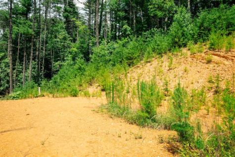 Lot 11 Quail Cove Circle Warne NC 28909