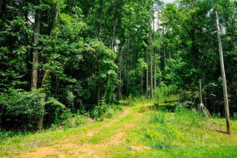 Lot 11 Quail Cove Circle Warne NC 28909