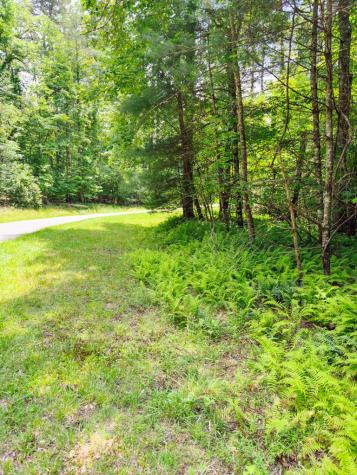 Lot 11 Quail Cove Circle Warne NC 28909