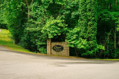 Lot 11 Quail Cove Circle Warne NC 28909