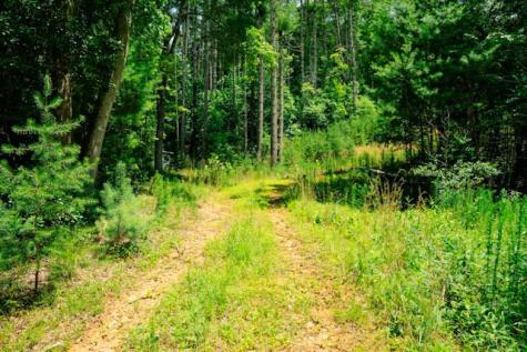 Lot 11 Quail Cove Circle Warne NC 28909