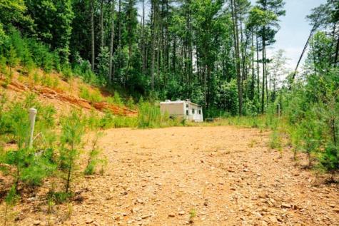 Lot 11 Quail Cove Circle Warne NC 28909