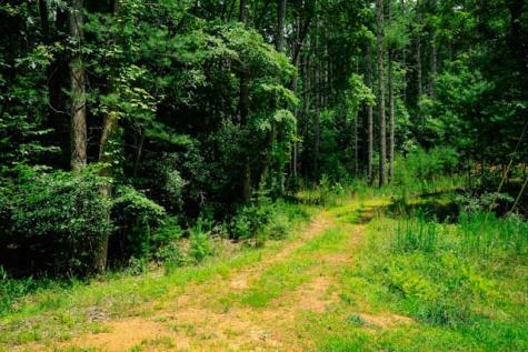 Lot 11 Quail Cove Circle Warne NC 28909