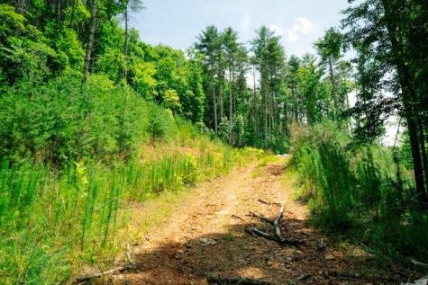 Lot 11 Quail Cove Circle Warne NC 28909