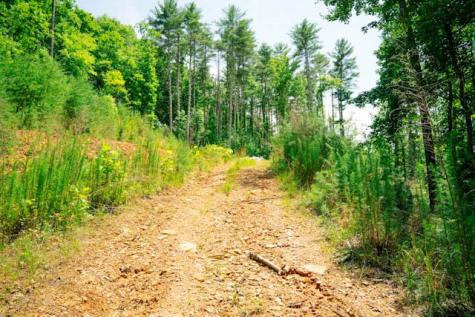 Lot 11 Quail Cove Circle Warne NC 28909