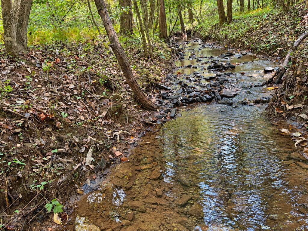 Lot 6 Mountain Brooks Road Blue Ridge GA 30513