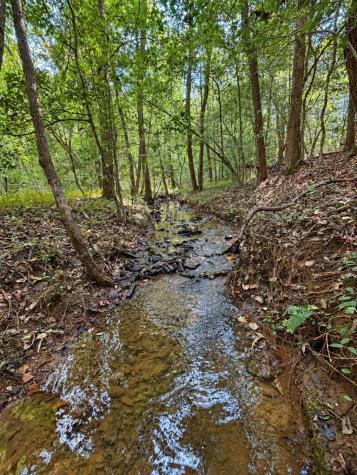 Lot 6 Mountain Brooks Road Blue Ridge GA 30513