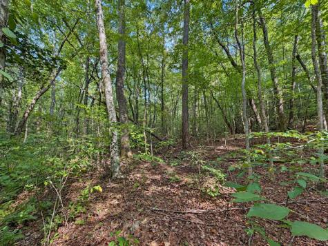 Lot 6 Mountain Brooks Road Blue Ridge GA 30513