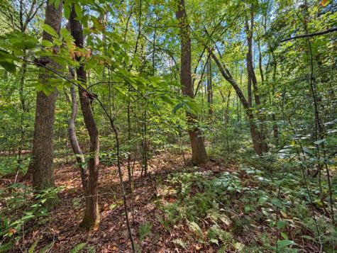 Lot 6 Mountain Brooks Road Blue Ridge GA 30513