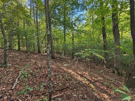 Lot 6 Mountain Brooks Road Blue Ridge GA 30513