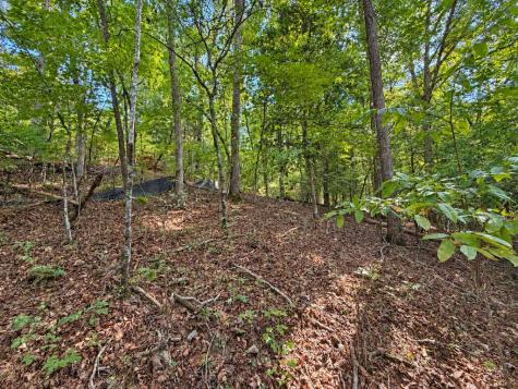 Lot 6 Mountain Brooks Road Blue Ridge GA 30513