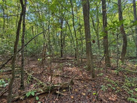 Lot 6 Mountain Brooks Road Blue Ridge GA 30513