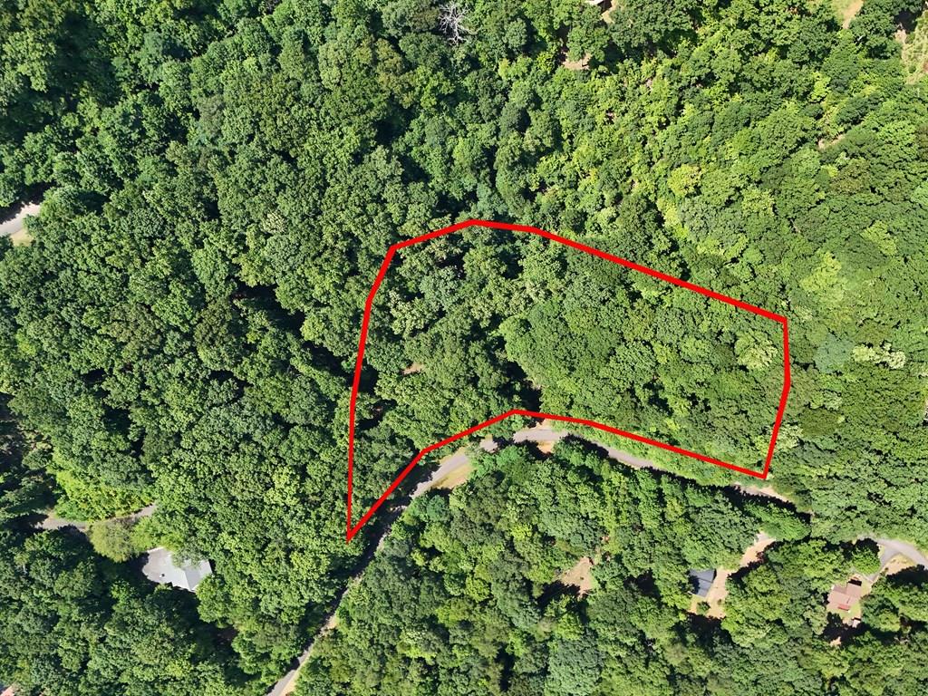 Lot 71 Chicory Drive W Blairsville GA 30512