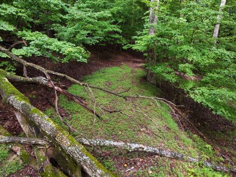 Lot 71 Chicory Drive W Blairsville GA 30512