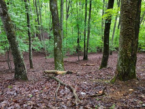 Lot 71 Chicory Drive W Blairsville GA 30512