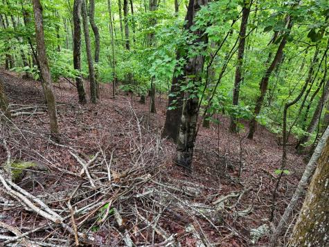 Lot 71 Chicory Drive W Blairsville GA 30512