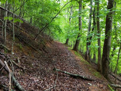 Lot 71 Chicory Drive W Blairsville GA 30512