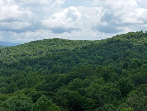 Lot 71 Chicory Drive W Blairsville GA 30512