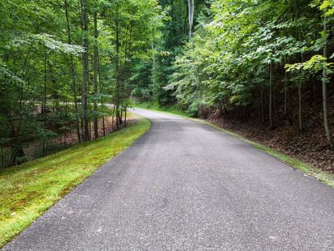 Lot 71 Chicory Drive W Blairsville GA 30512