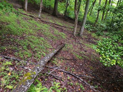 Lot 71 Chicory Drive W Blairsville GA 30512