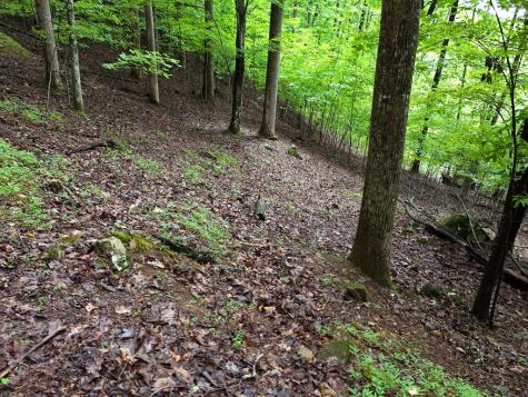 Lot 71 Chicory Drive W Blairsville GA 30512