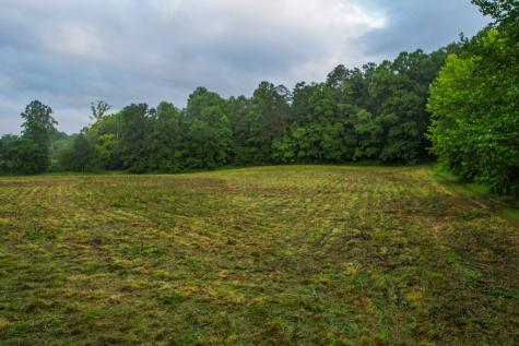 1055 New Liberty Trail Ellijay GA 30536