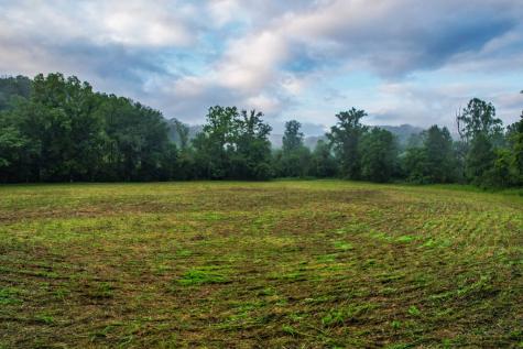 1055 New Liberty Trail Ellijay GA 30536