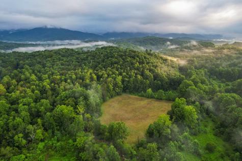 1055 New Liberty Trail Ellijay GA 30536