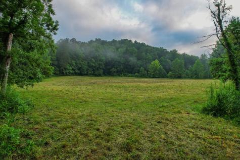 1055 New Liberty Trail Ellijay GA 30536