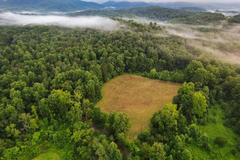 1055 New Liberty Trail Ellijay GA 30536