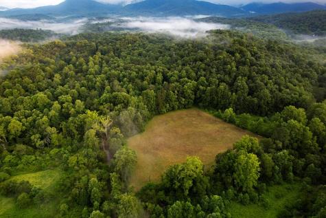 1055 New Liberty Trail Ellijay GA 30536